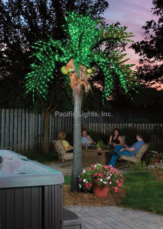 12 tree night