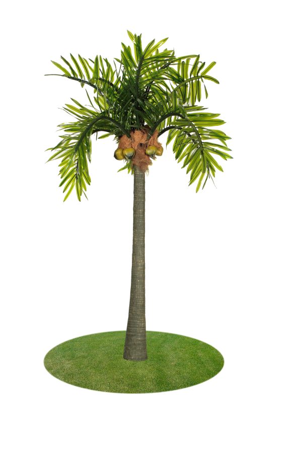 12 Tree Day