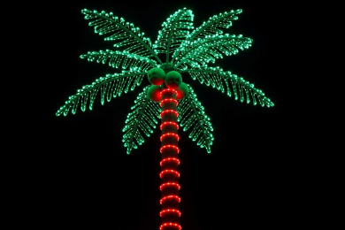 sharp enhanced led palm 1140x760