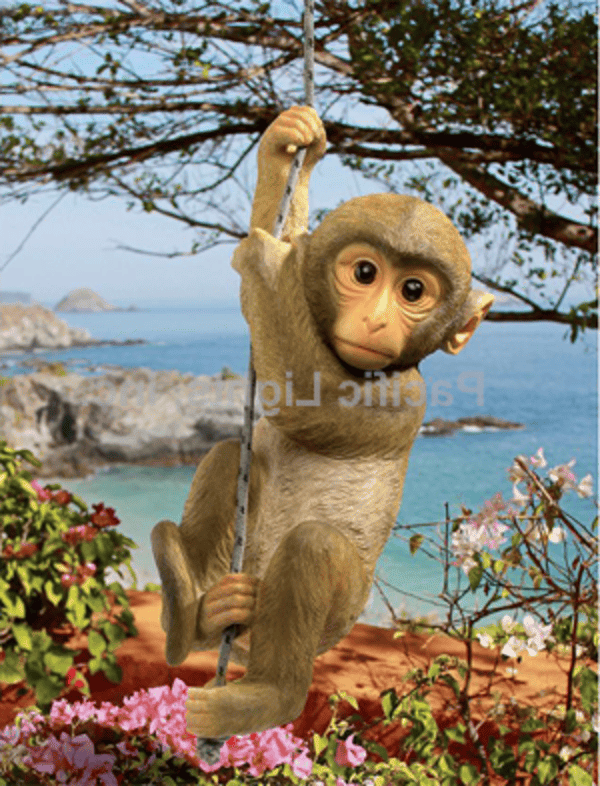 chimp3 1 (1) (1)
