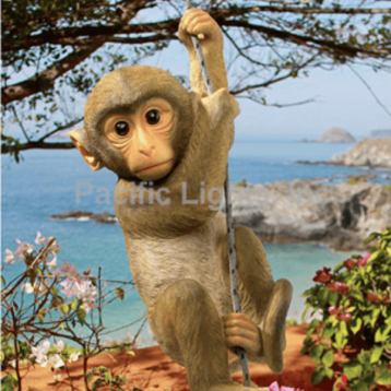chimp3 1 (1)